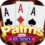 new rummy app 2024 bonus 51