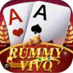 Rummy Vivo Apk Download