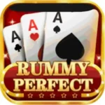 Rummy Perfect App