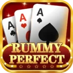 Rummy Perfect Apk