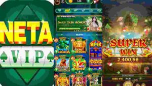 Neta Vip app 
